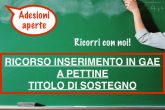 RICORSO GAE SOSTEGNO