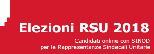 elezioni RSU
