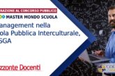 Management nella Scuola Pubblica Interculturale, il DSGA