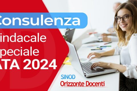 Consulenza sindacale speciale ATA